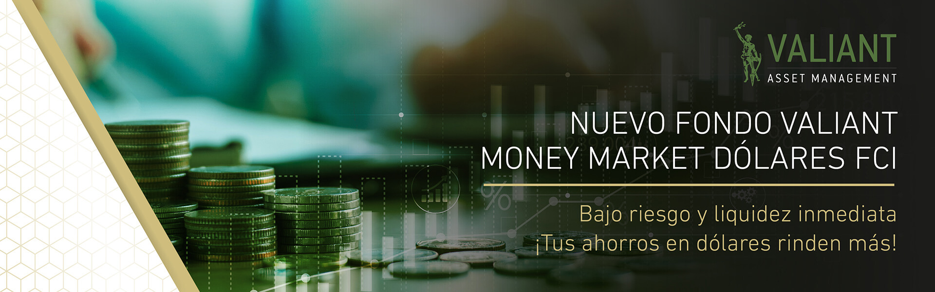 Fondo Money Market Dólares